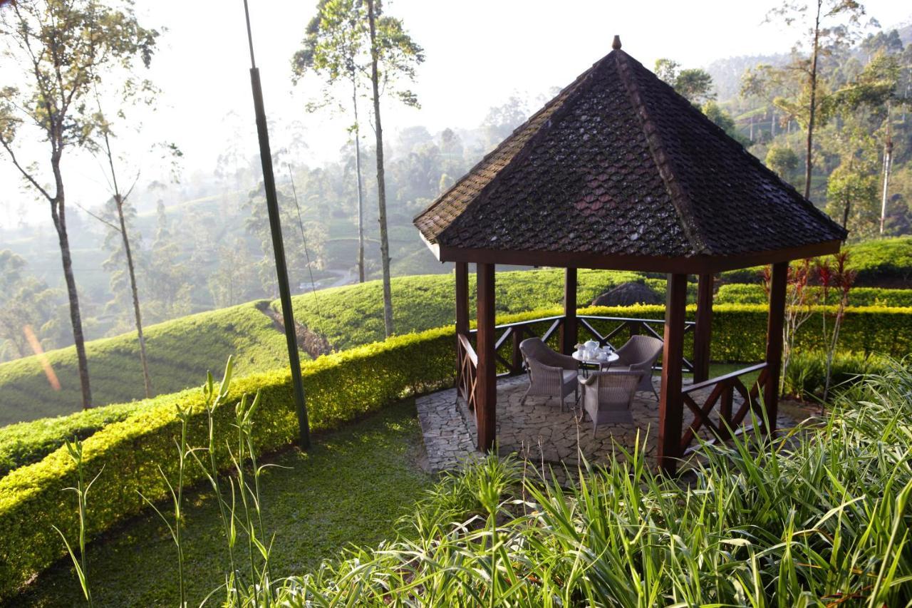 Ceylon Tea Trails - Relais And Chateaux Хаттон Экстерьер фото