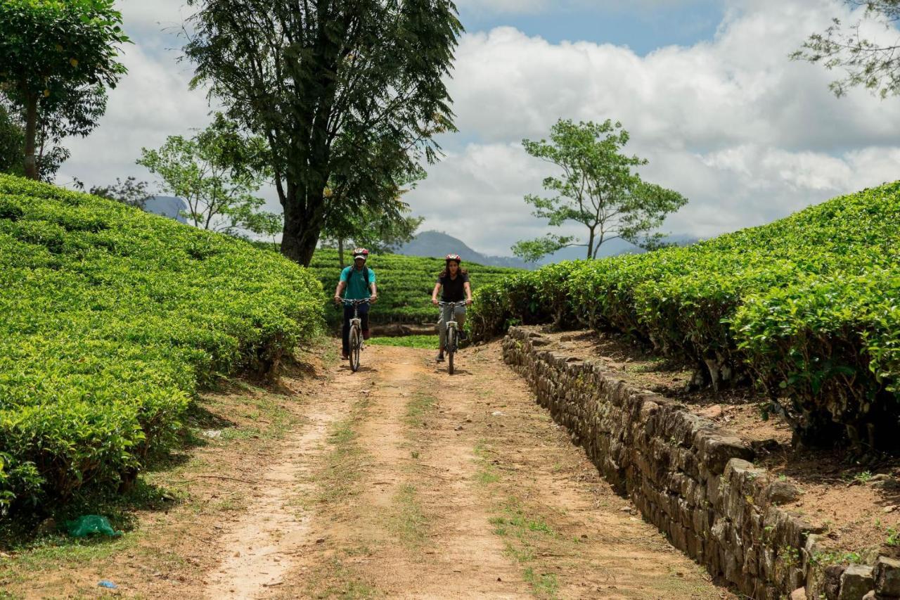 Ceylon Tea Trails - Relais And Chateaux Хаттон Экстерьер фото